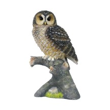 WISE Veronese Serisi-WISE DALDA BAYKUŞ BİBLO-19*12*6,5 CM.