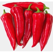 Kaliteli Maraş Biber Tohumu - Çoklu Kullanım - 5 Gram