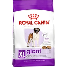 Royal Canin Giant Dev Irk Yetişkin Köpek Maması 15 KG