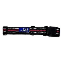 Ans Köpek Boyun Tasması 2.5 CM Genişlik- Boynu 46-55 CM