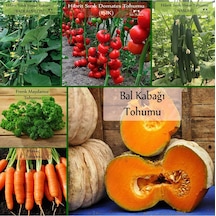 6 Paket Tohum No4 Hibrit F1 Salatalık Tohumları Domates - Frenk Maydanozu Tohumu Havuç Tohumu ...