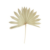4lü Kuru Tropic Palmiye Yaprağı 40 Cm Naturel