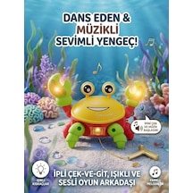 Tıfıl Toys İpli Kurmalı Yürüyen Yengeç 5099d
