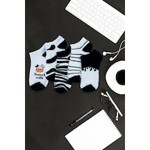 Carnaval Socks 5'li Milk Patik Desenli Renkli Spor Çorap Çok Renkli
