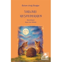 Sırları Keşfederken / Özlem Uluğ Özağar