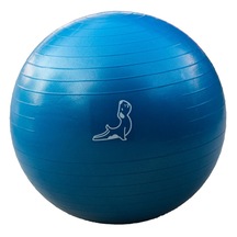 65 cm Mavi Egzersiz Topu