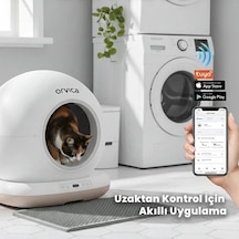 Bay Hd Kameralı Akıllı Kedi Tuvaleti Najmaddin