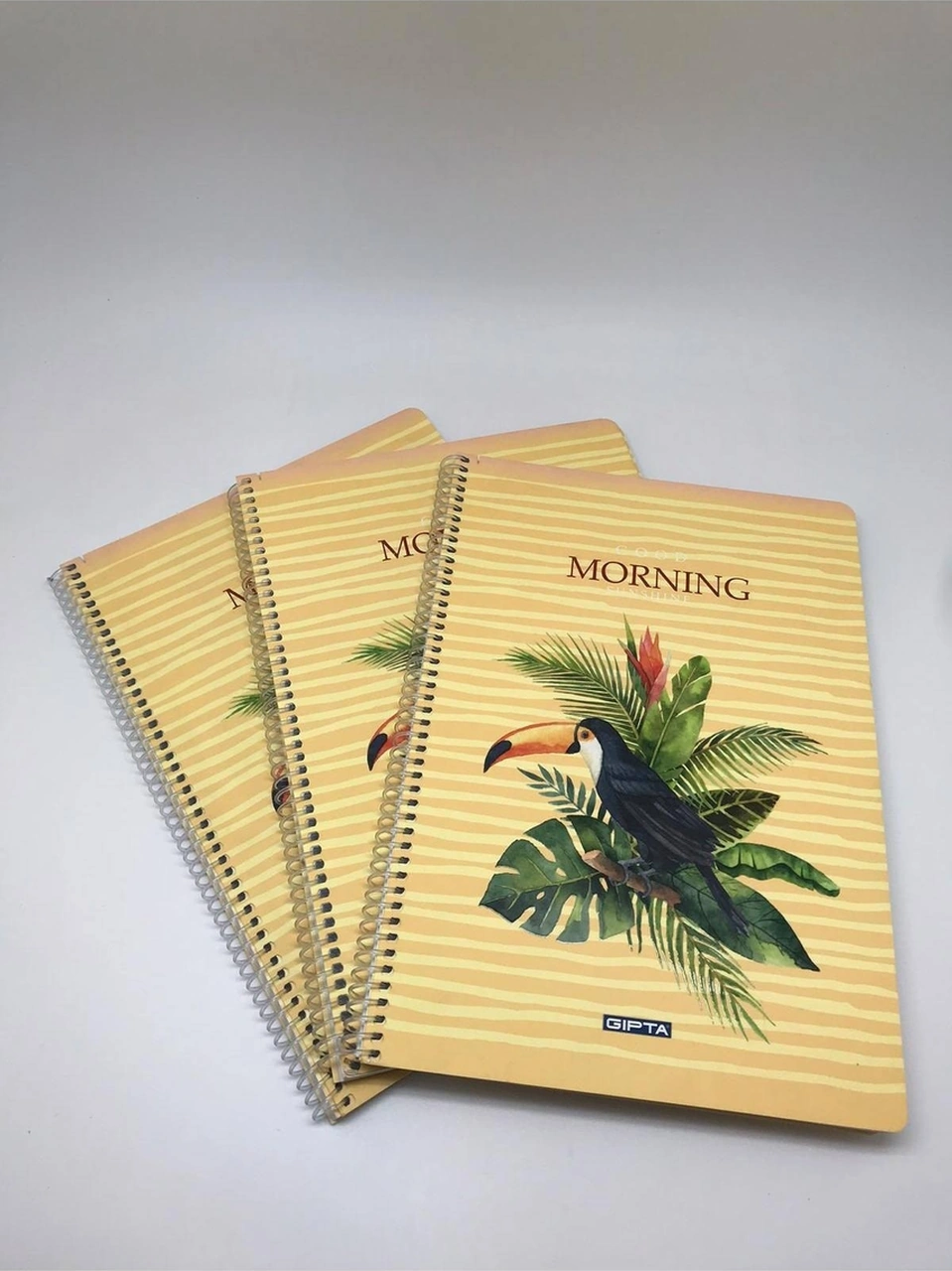Morning Spiralli Karton Kapak A4 80 Yaprak Kareli Defter 3'lü