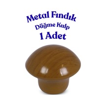 Fındık