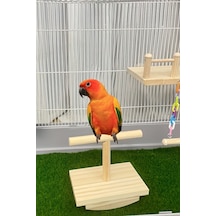 Doğal Ağaç Kuş Oyun Platformu - Muhabbet Kuşu, Conure, Sultan Papağanı İçin Zeka Oyuncağı