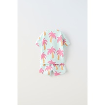 Mint Yeşili