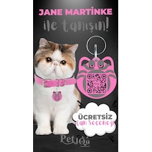 Petjoo 5.Jane Martinke Gri-Pembe Qr'lı Kedi Künyesi