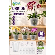 10 Adet Orkide Üretim Saksısı - Plastik Şefaf Orkide Üretimine Uygun Saksı