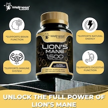 Liposomal Lion's Mane 15,000 Mg 120 Veg. Capsul