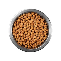 Tuklu Yetişkin Kedi Sı 1 Kg