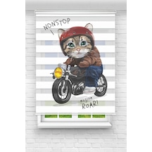 Perdecizade Enxboy Motorcu Kedi Dijital Baskılı Zebra Perde-cocuk Odası-stor Perde Renkli