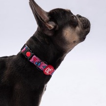 Hearts Kalp Desenli Köpek Boyun Tasması Ayarlanabilir Köpek Tasması M Size 32-48cm Boyun Aralığı Mor