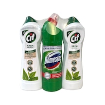 Cif Krem Amonyak 2 x 750 ML + Domestos Dağ Esintisi 750 ML