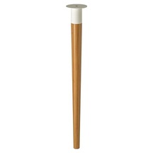 Bambu