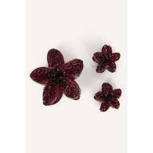 Bordo-br51