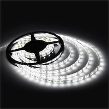 Taşkın Led 4040 Şerit Led