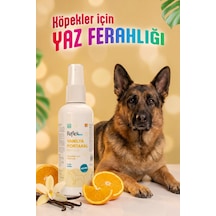 Reflex Care Vanilya Portakal Kokulu Köpek Kolonyası 125 Ml