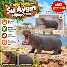 Hayvan