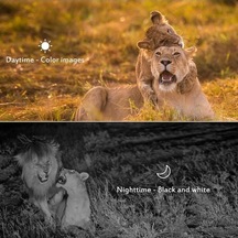 Ankatek Mini Trail Kamera 16mp 1080p Hareketle Etkinleştirilen Avcılık Kamerası 65ft Gece Görüşlü Açık Hava Yaban Hayatı İzleme Kamerası Ip65 Su Geçirmez Rw Kamuflaj Kamuflaj Ankatek Mini Trail Kamera 16mp 1080p Hareketle Etkinleştirilen Avcılık Kamerası 65ft Gece Görüşlü Açık Hava Yaban Hayatı İzleme Kamerası Ip65 Su Geçirmez Rw Kamuflaj Kamuflaj