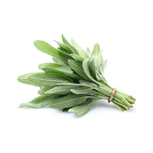 Paket 100 Tohum Nadir Adaçayı Tohumu Ada Çayı Dağ Çayı