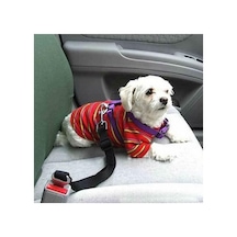 Evcil Hayvan Oto Araba Araç Emniyet Kemeri Tasması Kedi Köpek