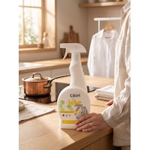 Lanyore Home Clean Leke Çıkarıcı