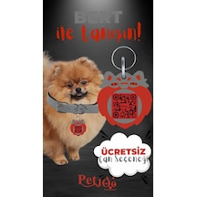 Petjoo 13.Bert Kırmızı-Gri Qr'lı Köpek Künyesi