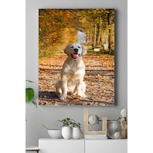 Pster16101 Retriever Hayvan Kanvas Tablo 30 X 40 7/8 Yaş Pster16101 Retriever Hayvan Kanvas Tablo 30 X 40 7/8 Yaş