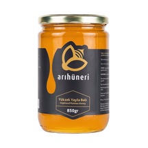 Arı Hüneri Yüksek Yayla Balı 850 G