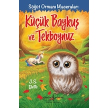 Küçük Baykuş Ve Tekboynuz Söğüt Ormanı Maceraları İş Bankası Kültür Yayınları