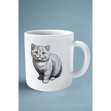 British Shorthairt Kedi İsimli Kişiye Özel Baskılı Kupa Bardak Gri Çok Renkli