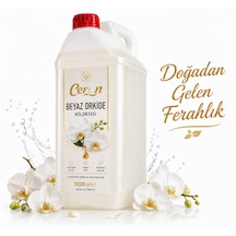Beyaz Orkide Kolonyası 5 Litre