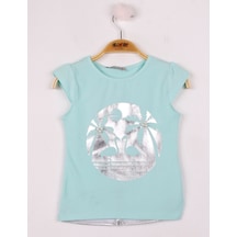 Mint Yeşili