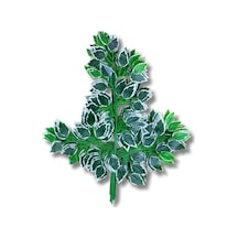 Cihan Çiçekçilik Yapay Çiçek Demet Ficus Dalı 12 Adet 65 Cm Yeşil