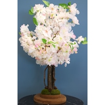 Yapay Minik Bahar Dalı Ağacı 55 Cm Açık Pembe Pembe