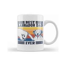 Best Labrador Dad Ever Vintage Father Day Köpek Kupa Bardak Porselen Karışık