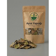 Ayva Yaprağı Kurutulmuş Bitki Çayı 100 G Doğal