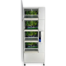 İstanbul Kafes Model 1Dy Pvc Kuş Dolabı