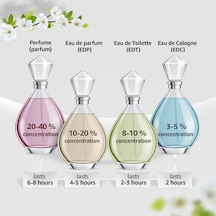 Beauty Edp Kadın Parfüm 100ml, 85805785345 Diğer