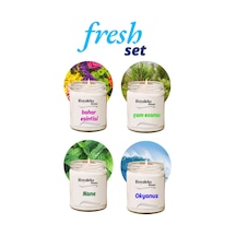 4 Adet Doğal Özel Seri Kokulu Dekoratif Kavanoz Mum 4x210 Cc - Fresh Set - Ryl Çok Renkli