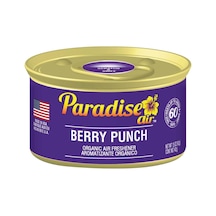 Paradise Air Berry Punch Oda Ve Araba Kokusu 42gr