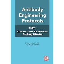 Antibody Engineering Protocols Part-1