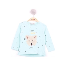 Mint Yeşili