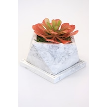 Yapay Çiçek Deposu Tepsili Beton Saksıda Büyük Succulent Tanzimi