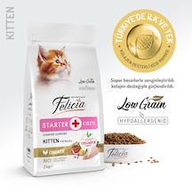 Felicia Kitten Tavuklu ve Hamsili Düşük Tahıllı Yavru Kedi Maması 2 KG